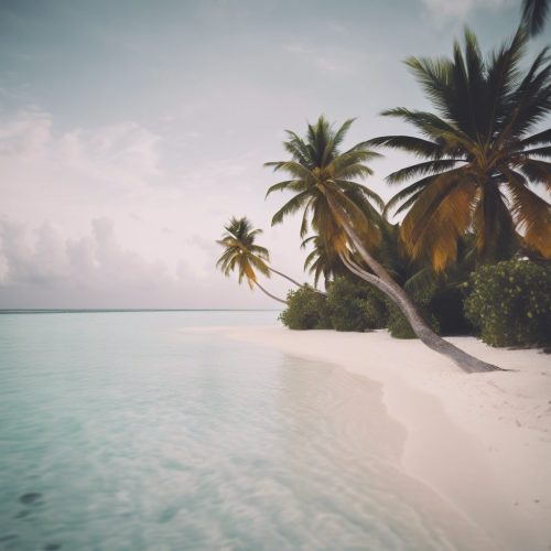 674890_Maldives, beach, palms _xl-1024-v1-0